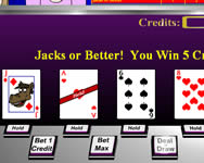 Casino critters video poker kártya HTML5 játék